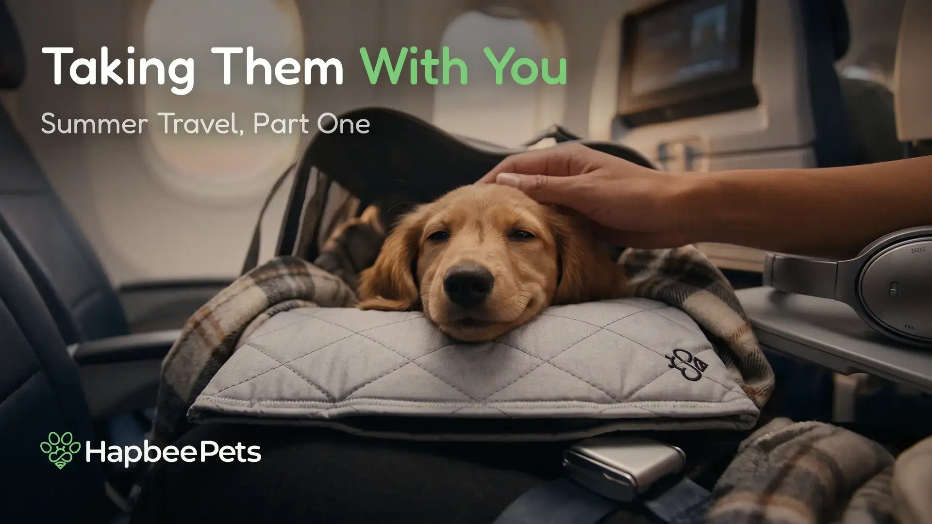 Taking Them With You: Summer Travel, Part One