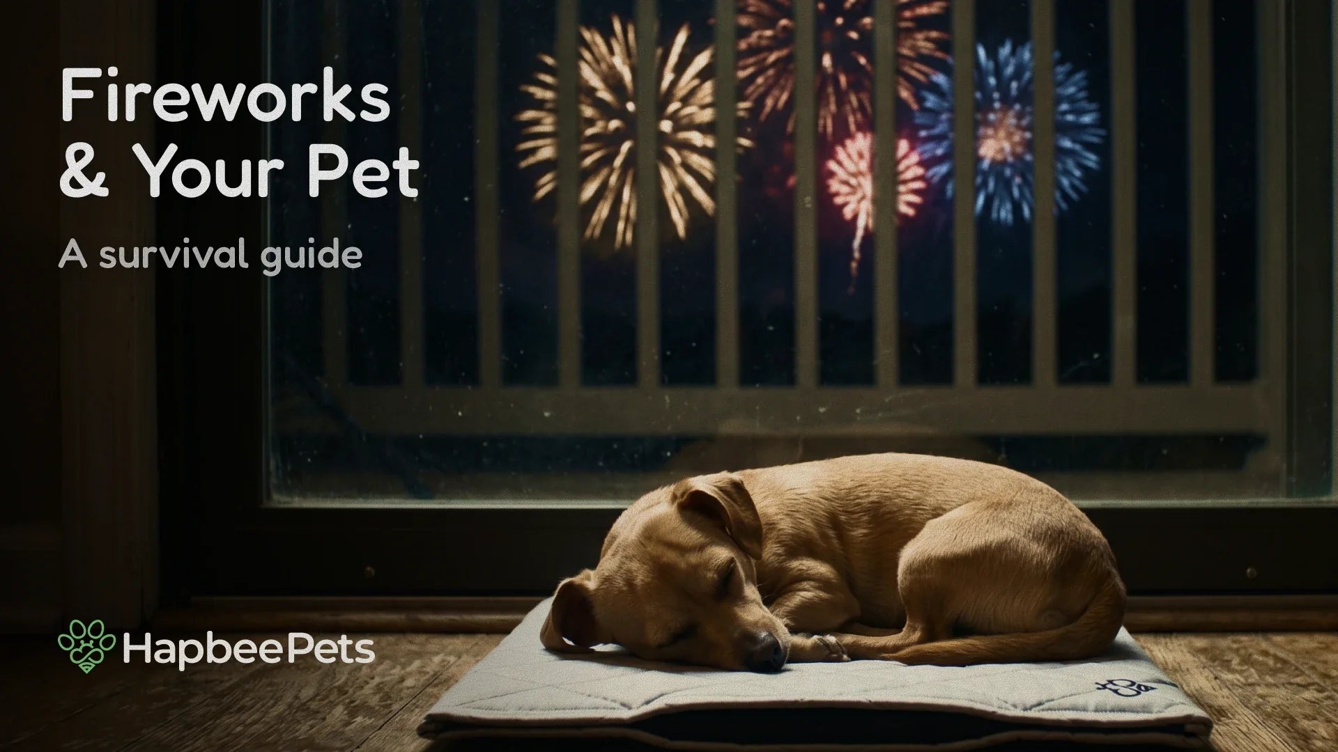Pets and Fireworks: A Survival Guide